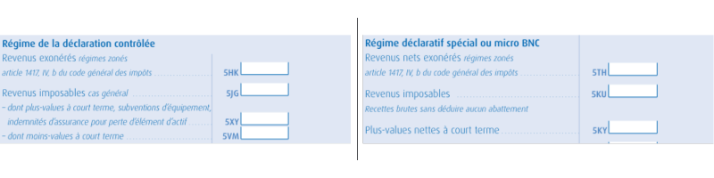 Capture d'écran de l'étape 3 du portail fiscal pour sélectionner les revenus non commerciaux non professionnels