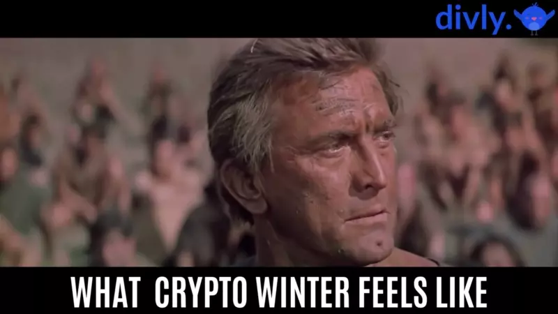 Crypto Winter Meme explaining losses with regards to crypto tax