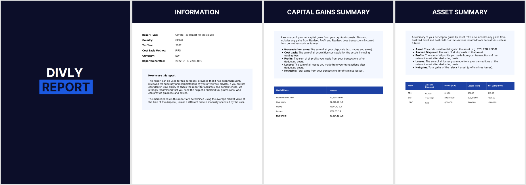 Preview of the Divly tax report